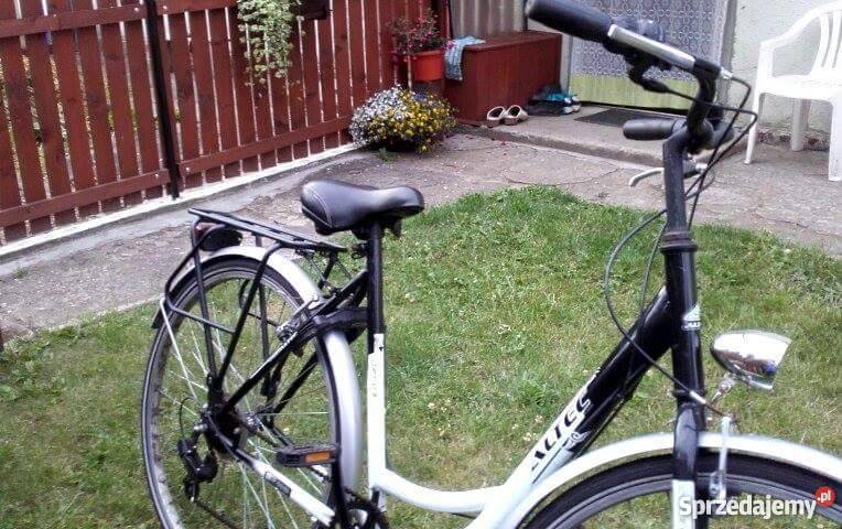 Damka holenderska okazja Ciemino