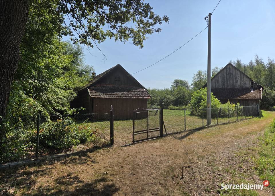 Buczków gm Rzezawa działka 115 ar z domem i Sprzedaż