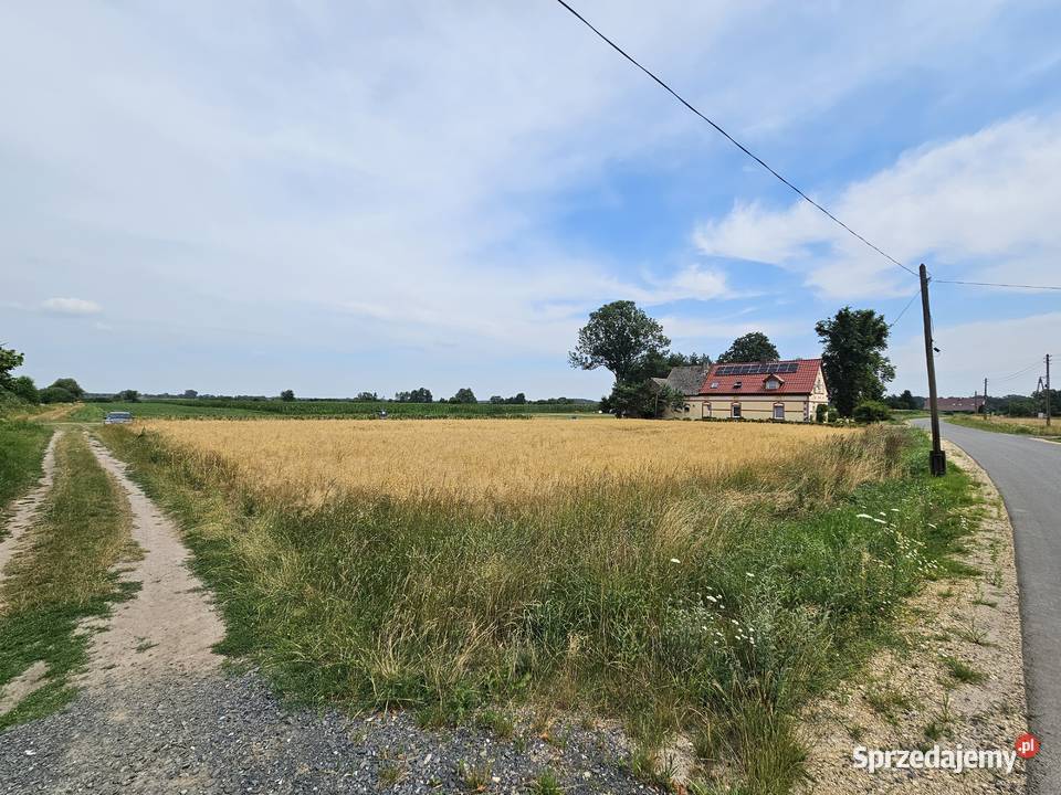 Działka Budowlana 2000 m2 MEDIA Brzozowiec sprzedam
