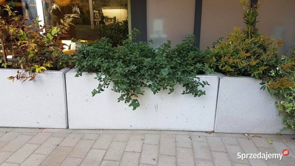 Promocja Donica betonowa 100x50x50h beton arch