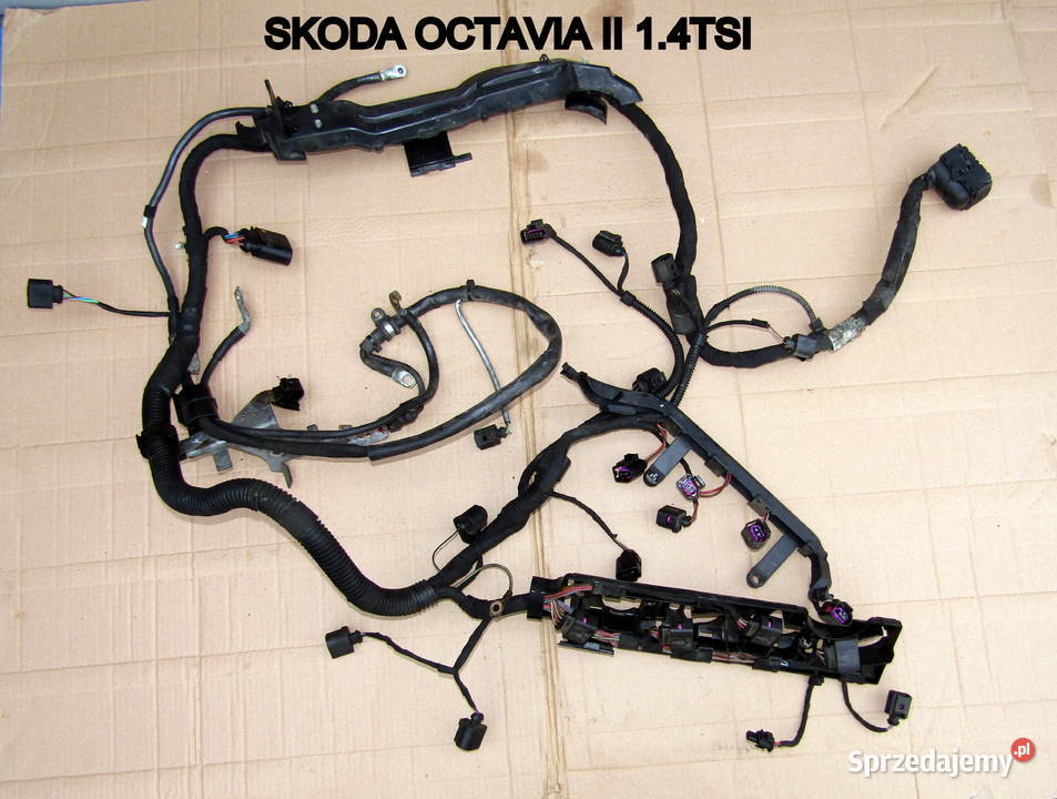 WIĄZKA SILNIKA SKODA OCTAVIA II 14TSI Mysłaków