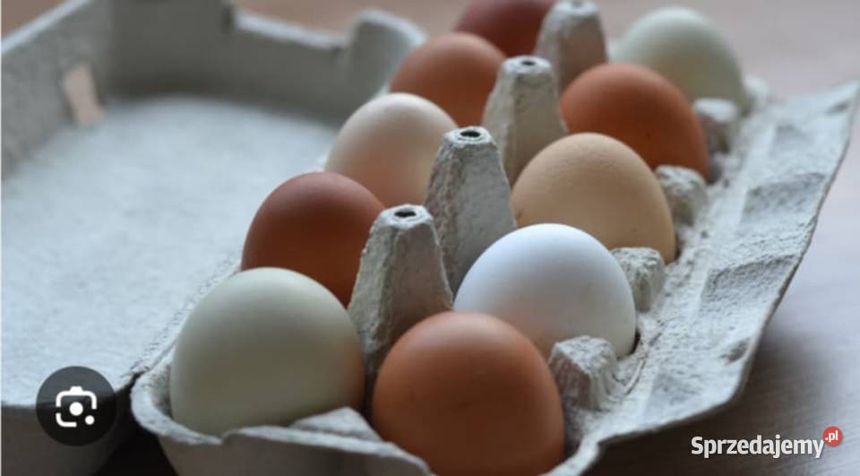 Sprzedam jaja wiejskie Krzcięcice