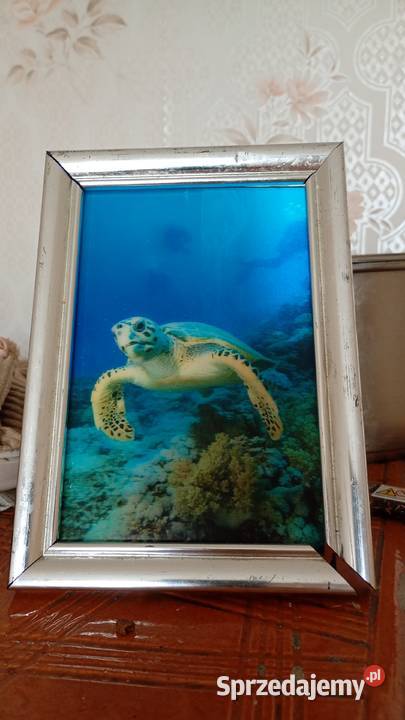 Sprzedam mieszkanie 78 m2 Wałbrzych