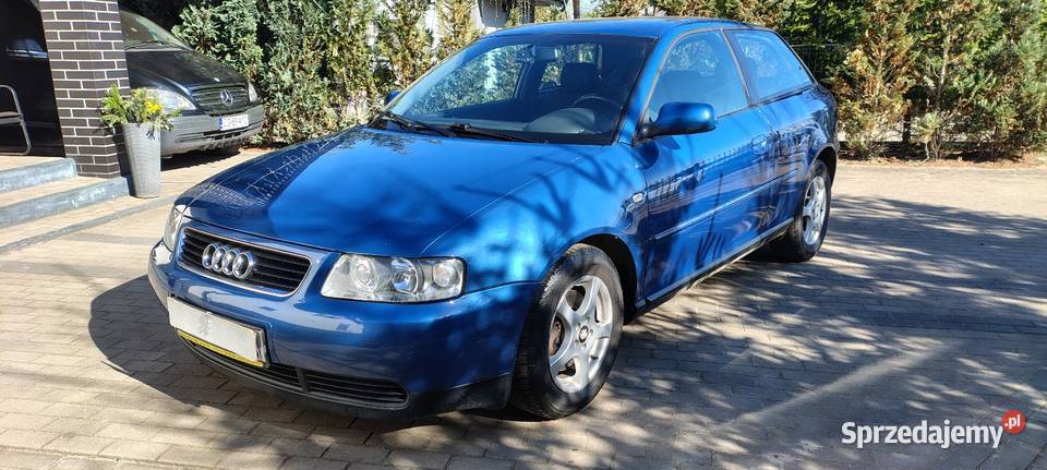 Audi A3 19 TDI Klimatronik Alufelgi Nowy nieuszkodzony Audi Wałdowo Szlacheckie