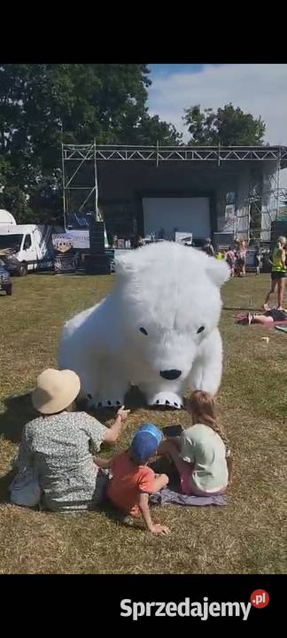 Imprezowy miś królik i panda Września