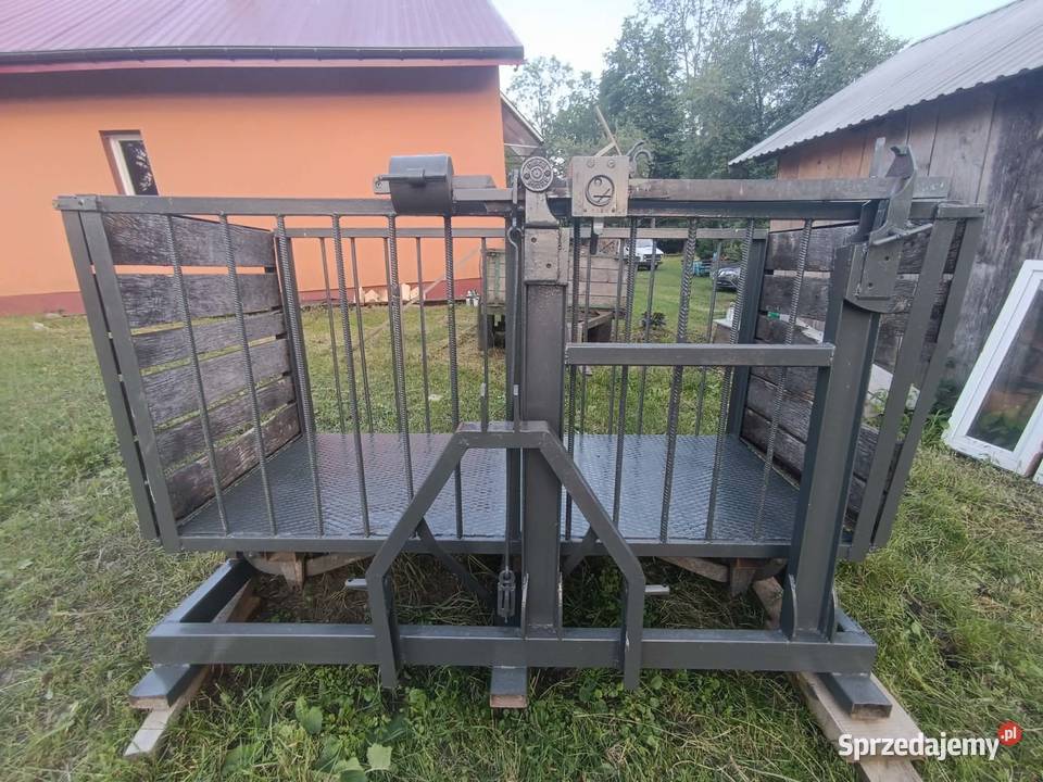 Waga inwentarzowa bydło