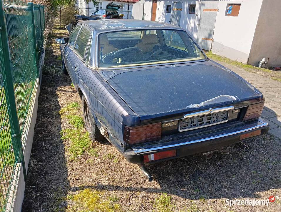 Jaguar XJ40 40 dawca organów mazowieckie sprzedam
