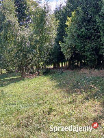 Sprzedam działkę rolną zabudowaną z planem Łężyce