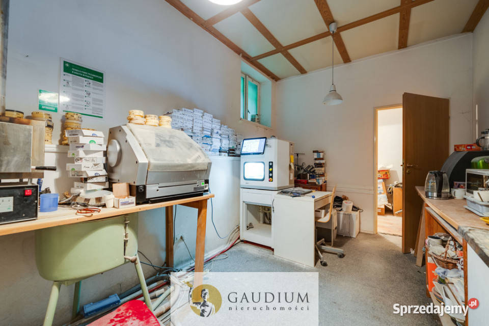 Kameralny lokal do wynajęcia Gdańsk