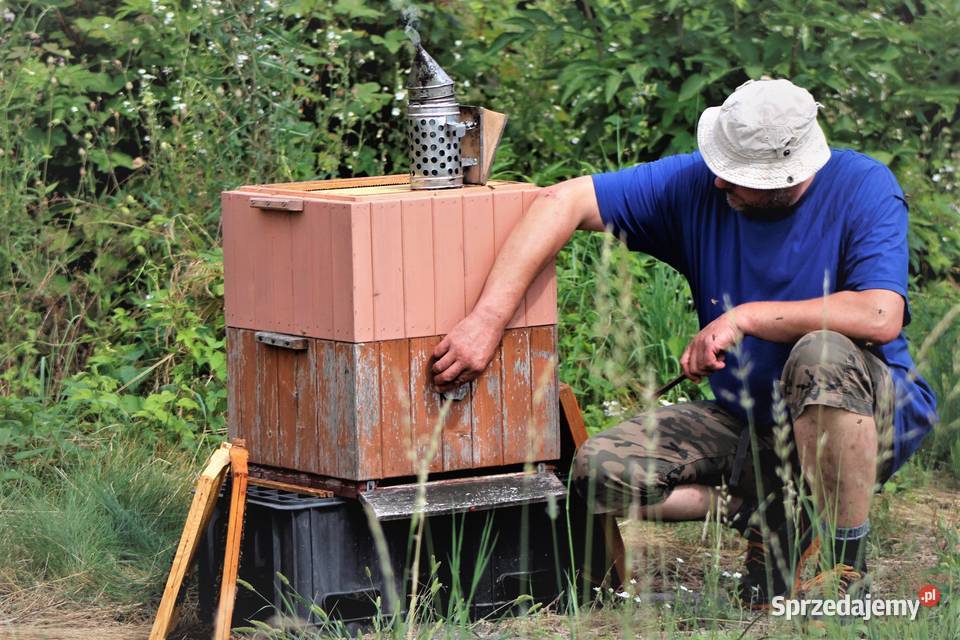 Wosk pszczeli naturalny gat I warmińsko-mazurskie Reszel