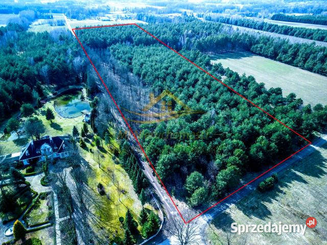 Ogłoszenie działka 35684m2 Lasek św Anny 39zł/m2 sprzedam