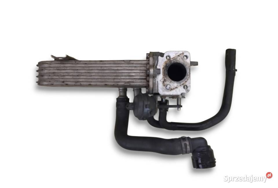 CHŁODNICA SPALIN EGR GOLF V PASSAT B6 TOURAN I osobowe Działoszyce