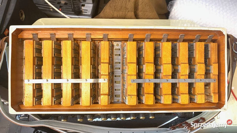 SOPRANI Ampliphonic Lido akordeon 120 basów