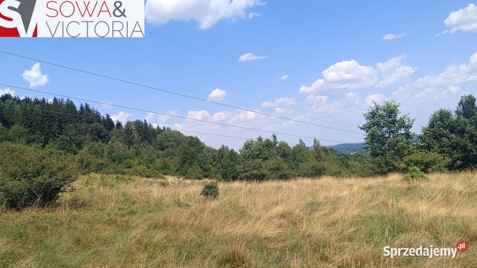 Działki osiedlowe pod Wałbrzychem Sprzedaż