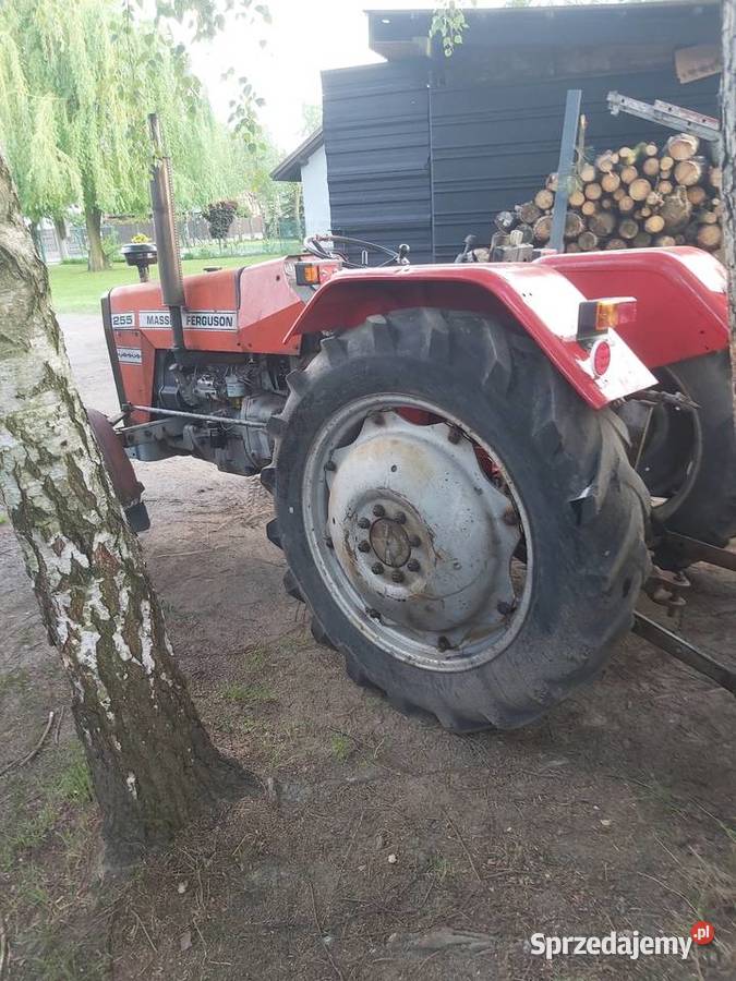 Massey ferguson 255 nie ursus Jawiszowice