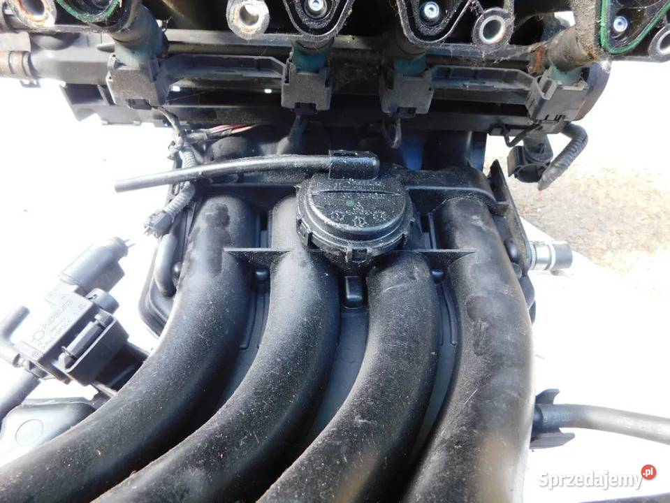 audi 16 kolektor ssacy M4310 WYSYŁKA Pozostałe Żory sprzedam