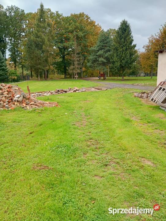 DZIAŁKA BUDOWLANA 1037m2 Wszystkie MEDIA z SUPER Golasowice