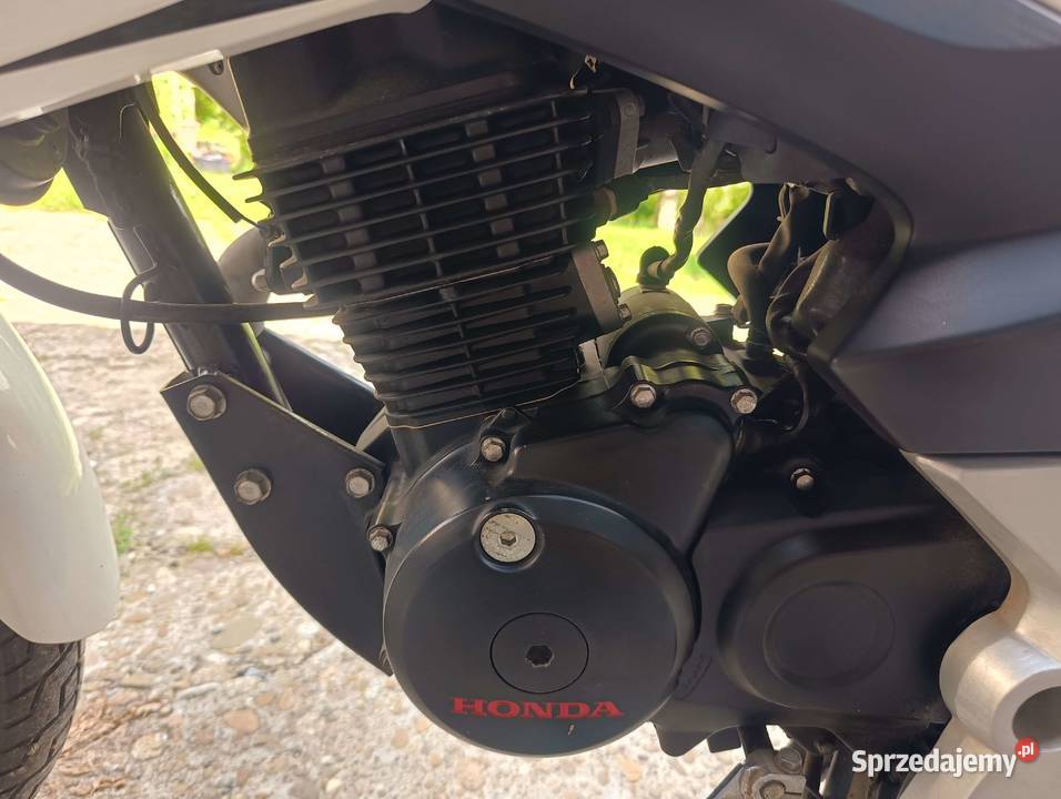 Honda CB125F Biesiadki