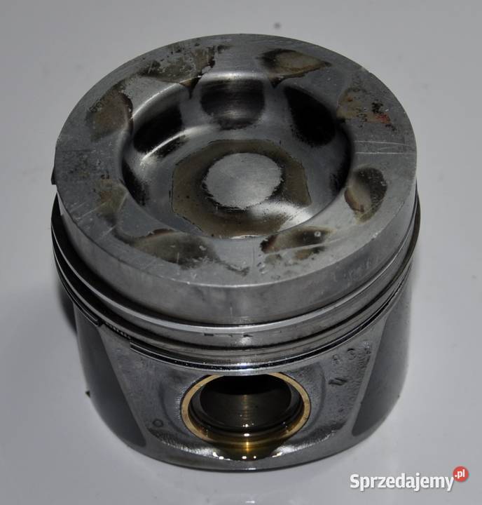 TŁOK 20 TDI Malbork