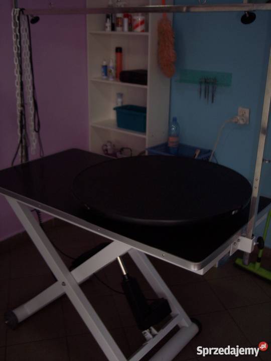 Sprzedam wydzierżawię salon groomerski Bielsko-Biała
