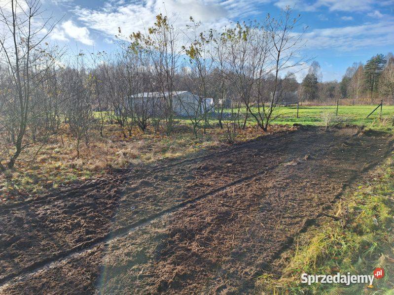 Wycinka drzew Czyszczenie działek Mulczowanie