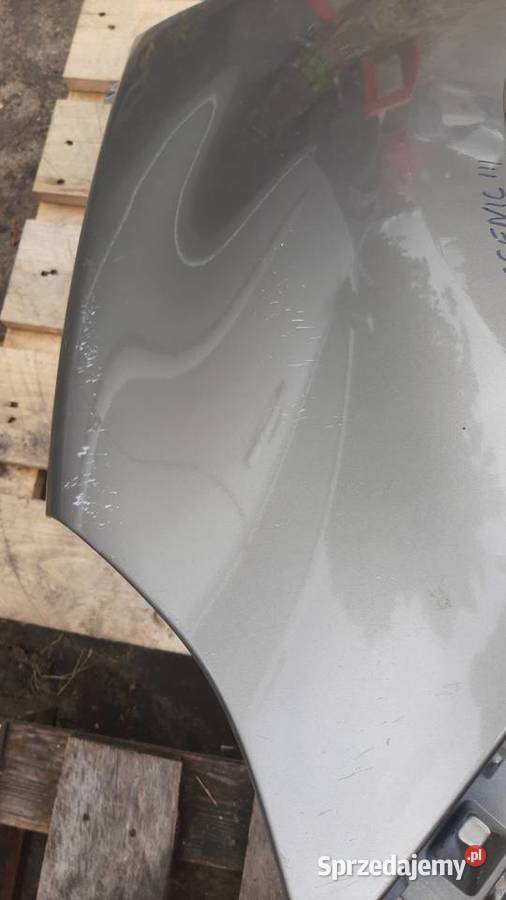 błotnik prawy lewy Renault Scenic III przedni Błotniki Dębno
