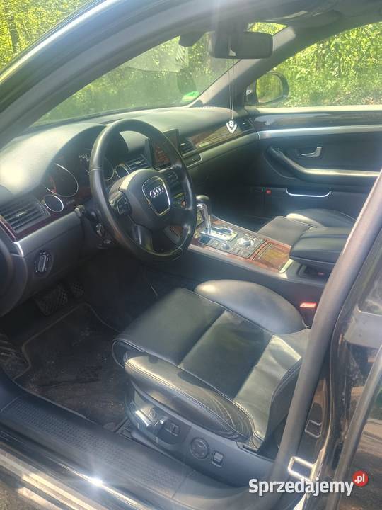 Audi a 8 możliwa zamiana Koty sprzedam