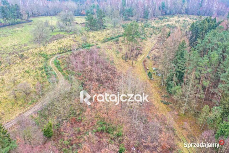 Grunt 2055m2 Zbychowo Żwirowa Sprzedaż