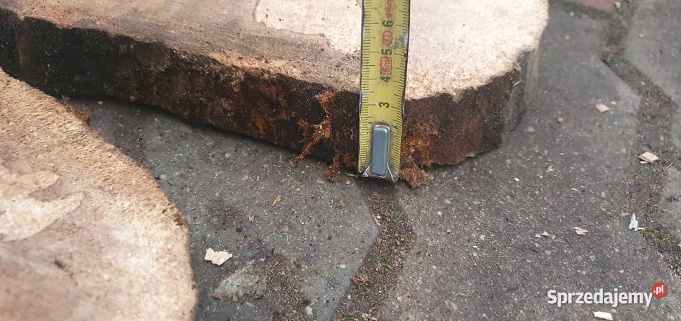 Plastry drewna Pakość