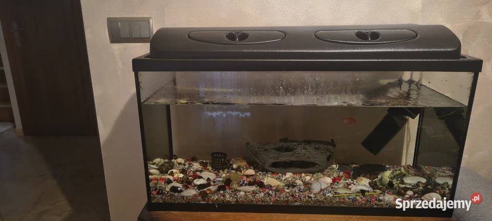 Akwarium 120 l Adamówka