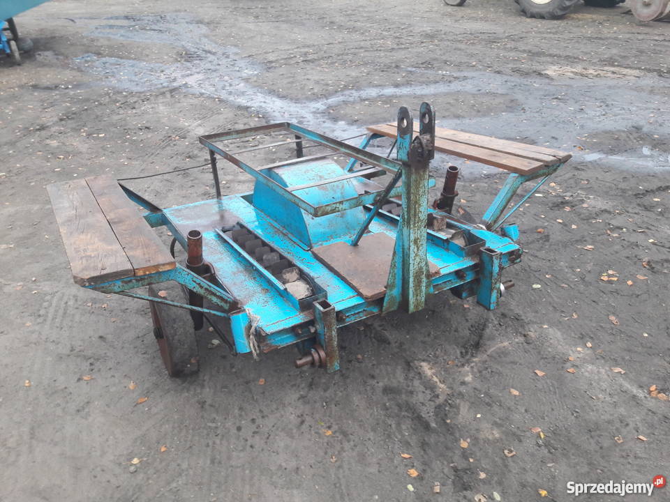 Sadzarka do ziemniaków podkiełkowanych Błonie