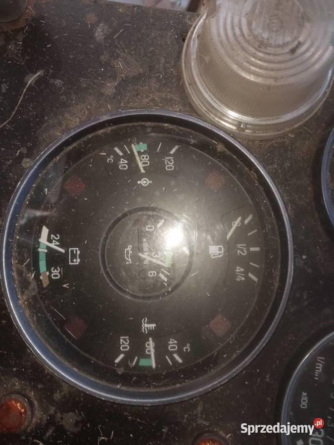 Bizon rekord czeski export łódzkie Piotrków Trybunalski