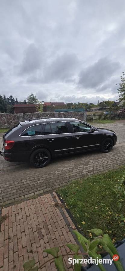 Skoda Superb Krzyż Wielkopolski