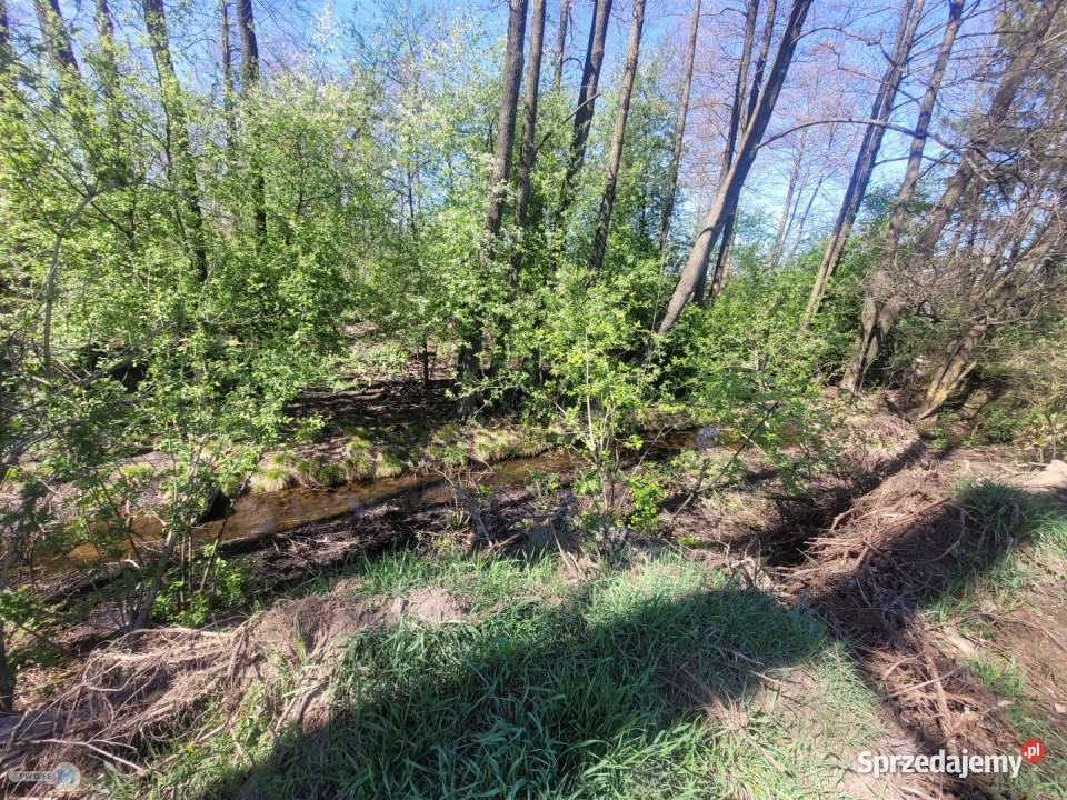 Ogłoszenie działka Smyków 2311 metrów