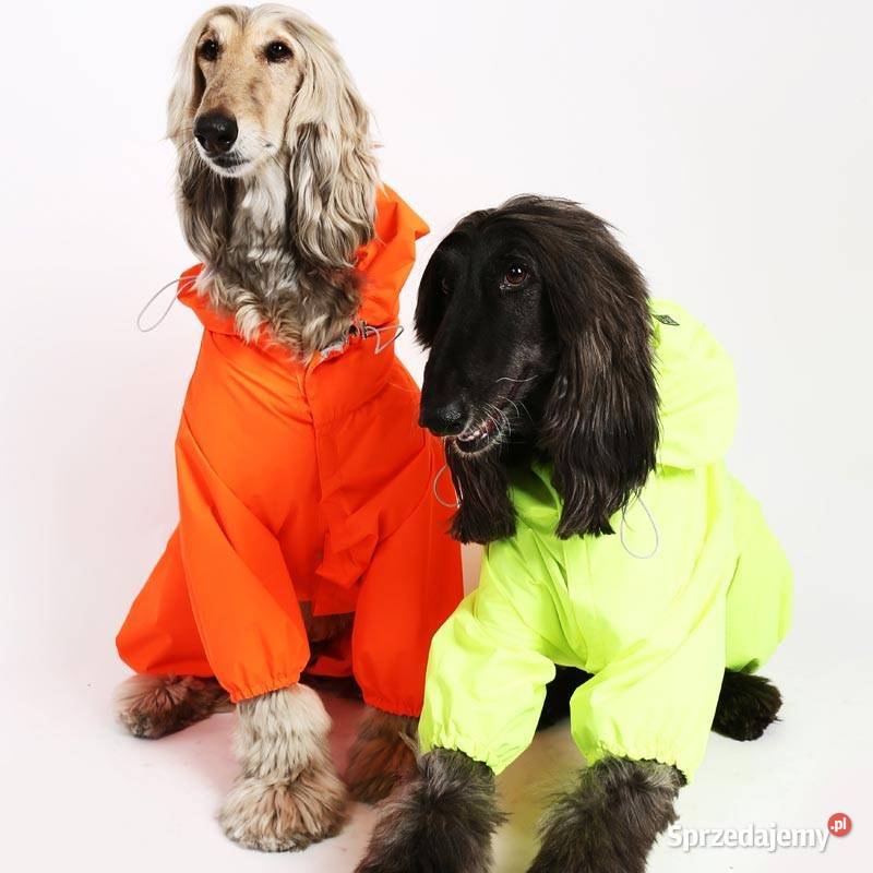 7XL Kurtka psa Puppy Angel PAOW302 grzbiet 72