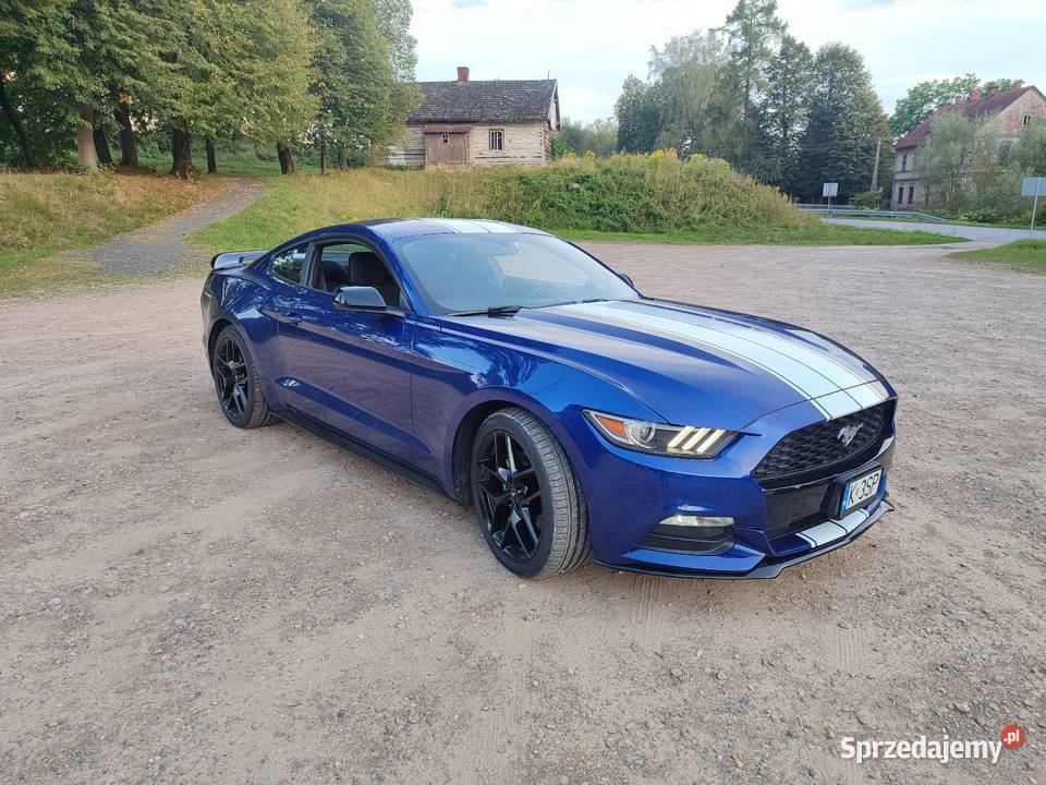 Ford Mustang zadbany 2/3 małopolskie Kalwaria Zebrzydowska sprzedam