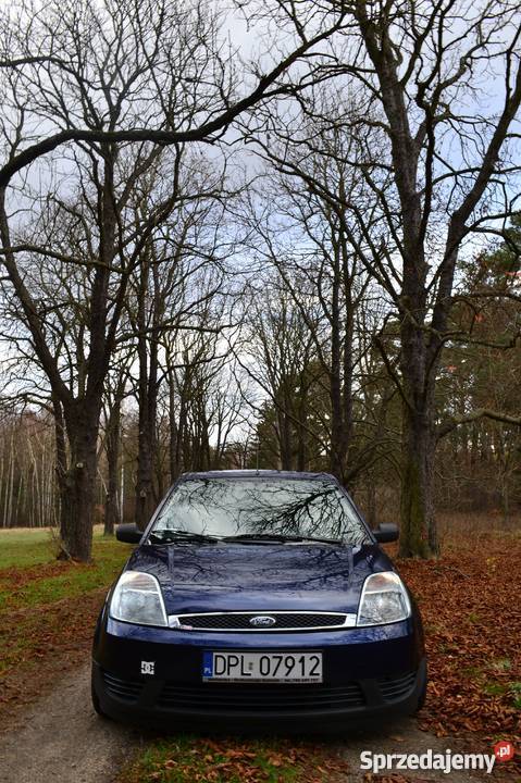 Ford Fiesta MK6 Ghia 2003 JEDYNA TAKA
