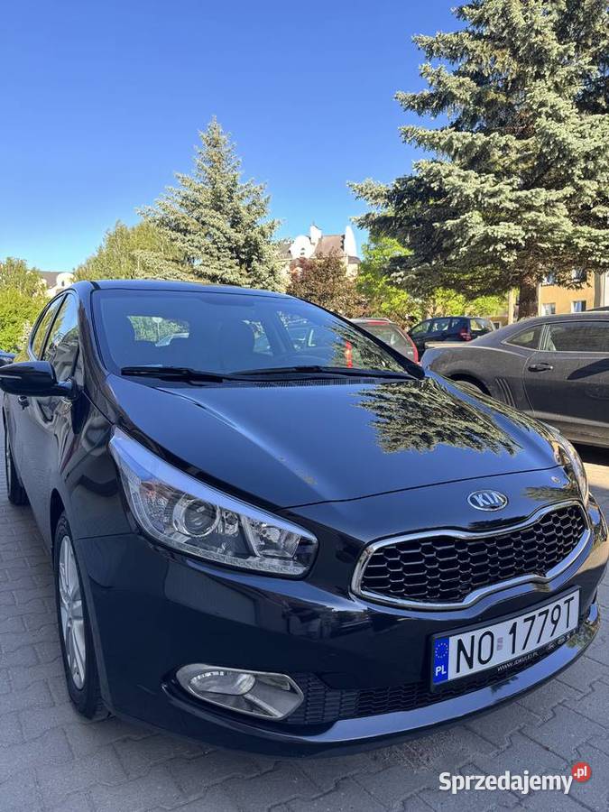 Kia Ceed 16 GDI Olsztyn
