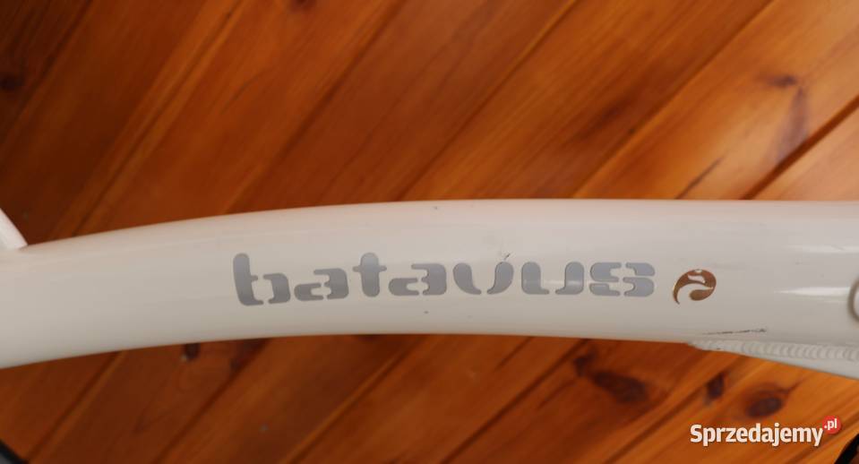 Rower damski Batavus Mambo D 57 I inne rowery sprzedam