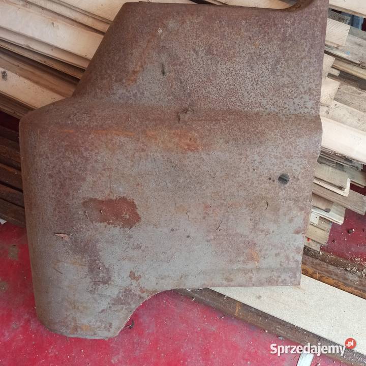 Żuk błotniki lewyprawy