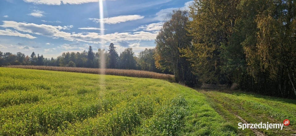 Działka rolna i las w gratisie 3439m2 Sprzedaż