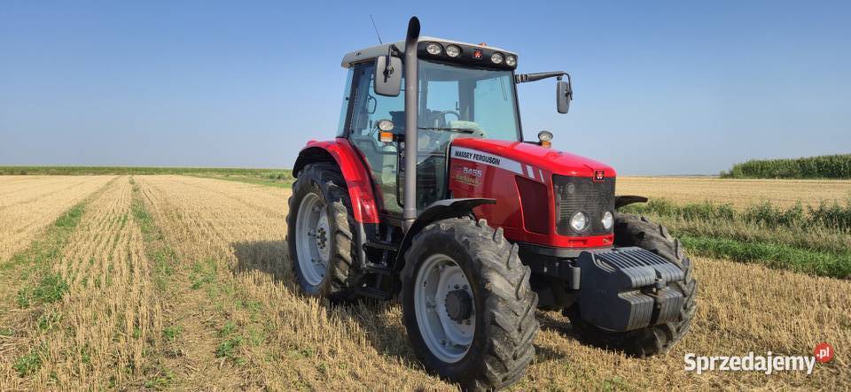 Massey Ferguson 5455 opolskie