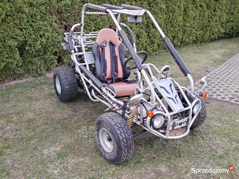 Buggy PGO 250 CCM homologacja L7e 2006r 250cm3 wielkopolskie Ostrów Wielkopolski sprzedam