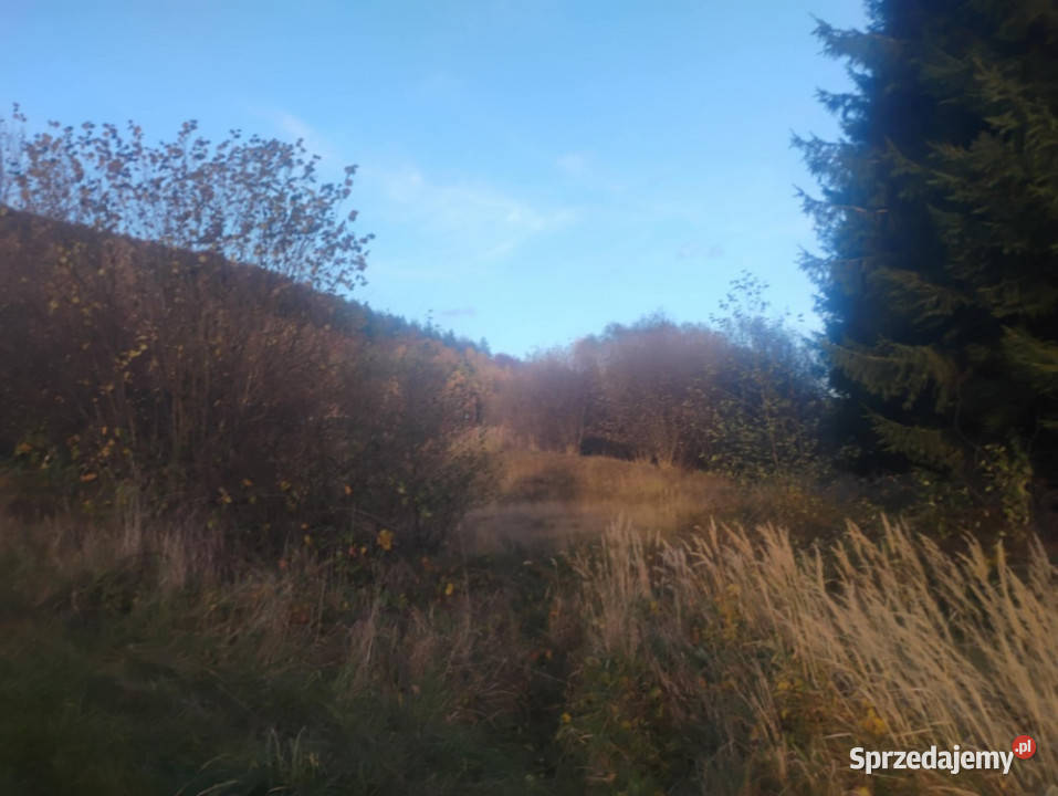 Sprzedam działkę z pięknym widokiem i świetnym Radochów