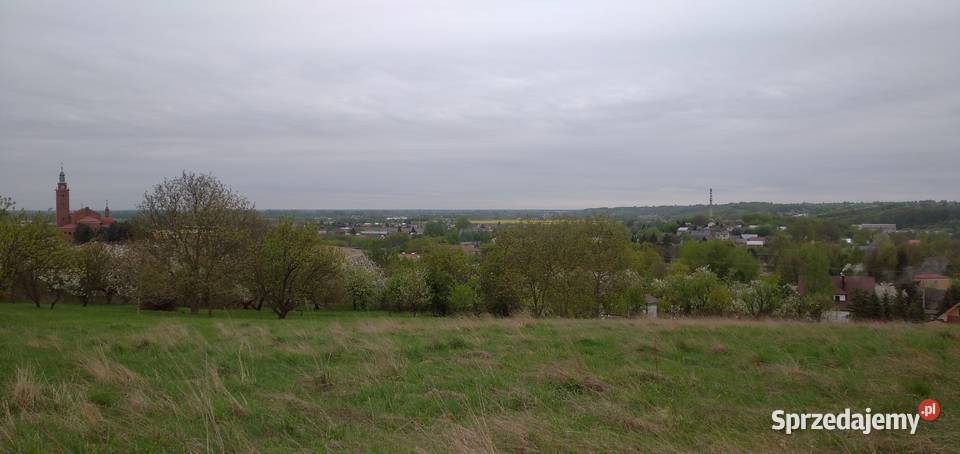 Działka widokowa z warunkami zabudowy 8900m2 Dwikozy sprzedam