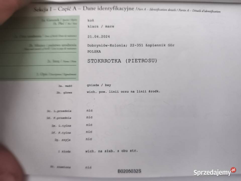 Źróbka huculska Zwierzęta