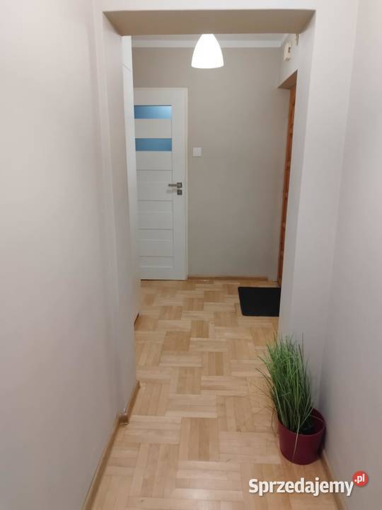 Mieszkanie do wynajęcia piwnica Puławy