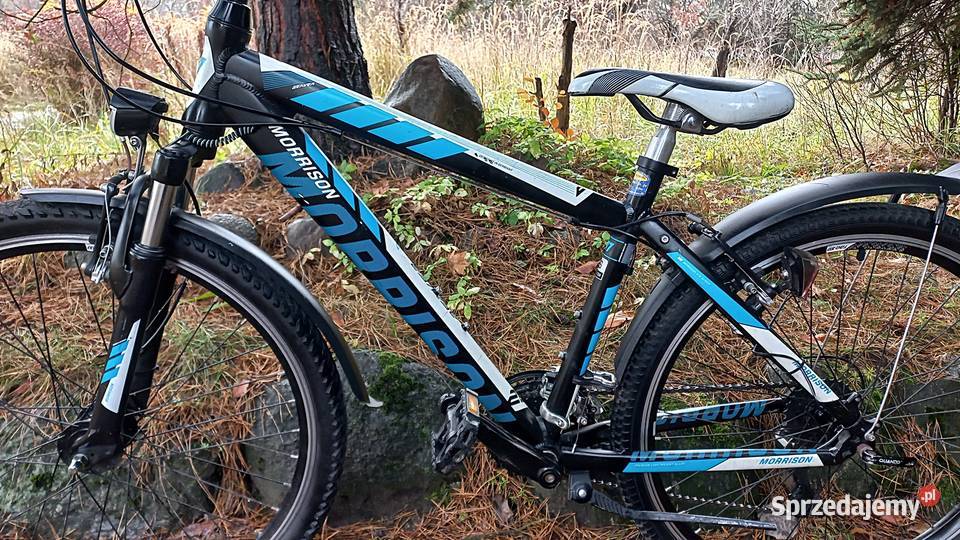 Alu Rower Górski Atb Młodzieżowy Morrison Beaver Wołów