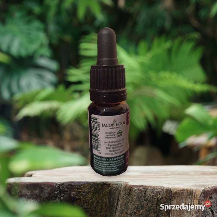 Jacob Hooy CBD Olej 5 Witamina D3 10ml Łódź sprzedam