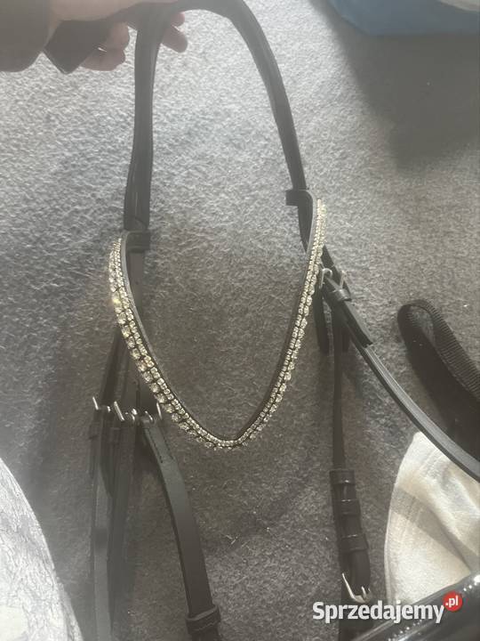 Oglowie horze Stargard sprzedam